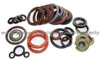 Oil Seals