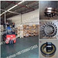 6313-2Z/C3 SKF BEARING LIST