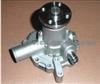 Water Pump 145017960