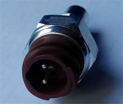 Oil Temperature Sensor 81274210190