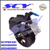 Power Steering Pump For Mercedes-Benz C220 C230 A 002 466 29 01 A0024662901 002 466 29 01 0024662901 002 466 30 01 0024663001 003 466 46 01 0034664601