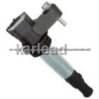 Ignition Coil, OEM No. ：0221604104, 0221604112, 12566569, 12583514, 12629037 Type ：DQG1140 Applied Cars ： HOLDEN COMMODORE / COLORADO / STATESMAN / RO