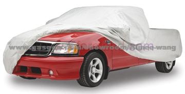 Car Cover 061