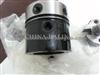DPA Head Rotor 7180-647U