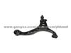 Control Arm For 545014D101