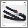 Two Point Safety Belt C