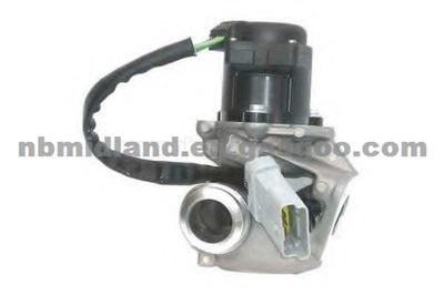 EGR Valve 1353152