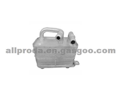 Oilcooler Bmw 17217519213