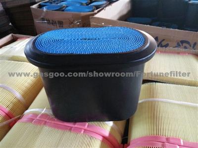 Air Filter P610875