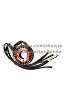 2000W/2KW Stator For Gasoline Or Diesel Generator