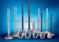 Diesel Engine Valve