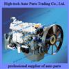 Weichai WD615.50 Engine Assembly