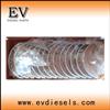 Engine Valve WP4 WP4 Bearing WEICHAI Parts