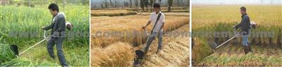 Portable Harvester