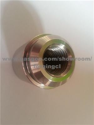 Forging Parts Stainless Steel Parts Machine Parts Valve Shaft