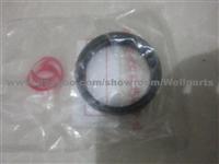 Seal Ring 24N-01090