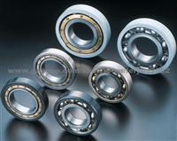 Bearing SKF 6010