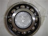 Bearing SKF 6007