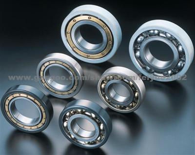 Bearing SKF 6010