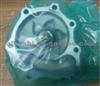 Water Pump 251004X300