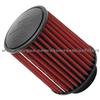 AEM Air Filter