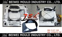 Car Radiator Fan Shroud Mould