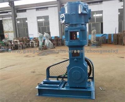 WLW Vertical Oilless Vacuum Pump