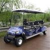 6 Seater Electric Golf Cart