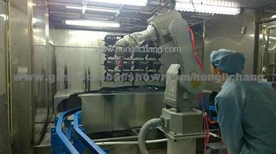 Automatic Painting Plant For Car Parts