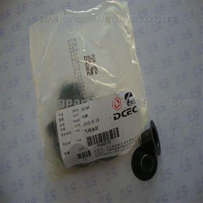 Valve,Oil Seal For Dongfeng Kingrun