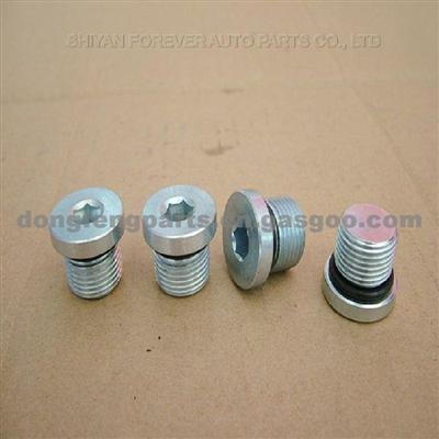 Plug Screw For Dongfeng Kingrun