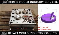 Plastic Injection Cap Mould