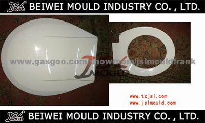 Plastic Injection Toilet Seat Mould