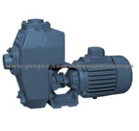 Mud Pump Sludge Pump