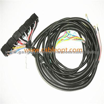 Automotive Wire Harness