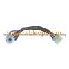 Auto Ignition Wire Harness For Daewoo