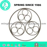 High Quality Oil Seal Spring For Auto Parts