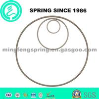 Custom Oil Seal Spring For Auto Parts