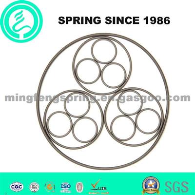 High Quality Oil Seal Spring For Auto Parts