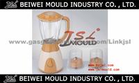 Plastic Injection Blender Mould