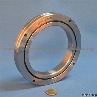 CRB11020UUC1 Slewing Ring Bearing