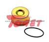 Caliper Cap Kit II3976F0063