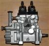 DENSO Pump 094000-0484
