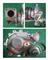 Turbocharger WL 85C VJ331008