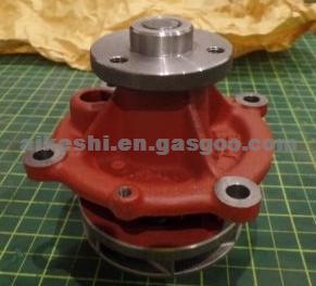 Water Pump 20502535