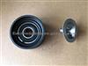 VOLVO Renault Tension Roller 3827501,21753149,7421753149