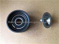 VOLVO Renault Tension Roller 3827501,21753149,7421753149