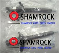 NAVARA D40 Pathfinder YD25 PICKUP YD25 /Cabstar 2.5 COMMON RAIL INJECTORS 16600-VM00D / 16600-VM00A / 095000-6243 / 095000-6240