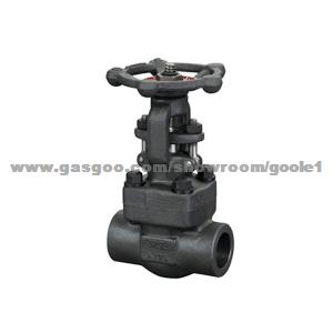 Forged Steel Check Valve