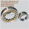 KOYO NN3005 Cylindrical Roller Bearing,NACHI NN3005